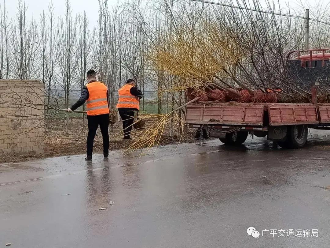 雪后初暖阳