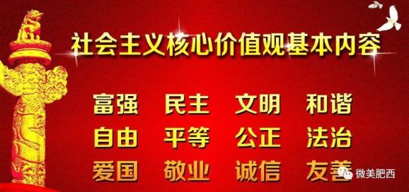 许沙村委会最新招聘信息全面解析