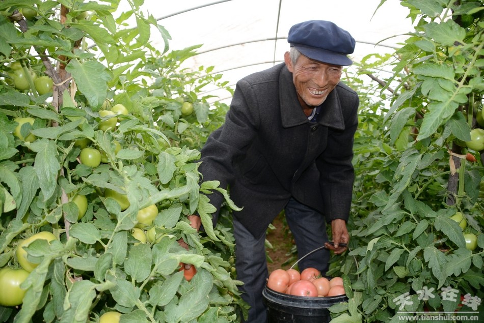 安坪村现代化交通网络构建最新动态