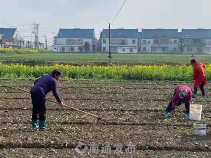 搬经镇未来繁荣蓝图，最新发展规划揭秘